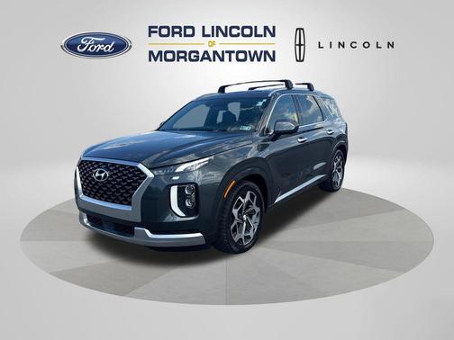 Rainforest 2022 Hyundai PALISADE Calligraphy