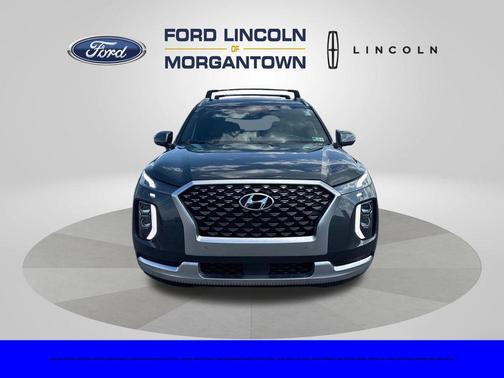 Rainforest 2022 Hyundai PALISADE Calligraphy