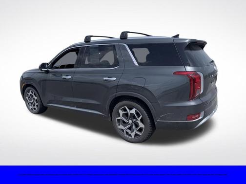 Rainforest 2022 Hyundai PALISADE Calligraphy