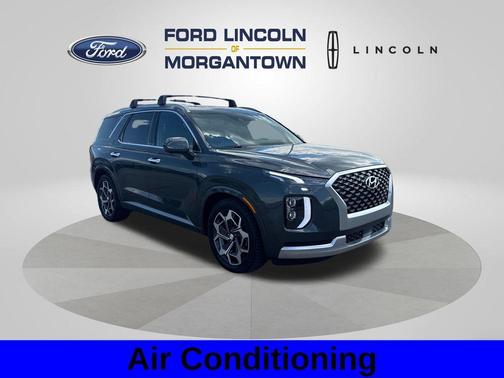 Rainforest 2022 Hyundai PALISADE Calligraphy