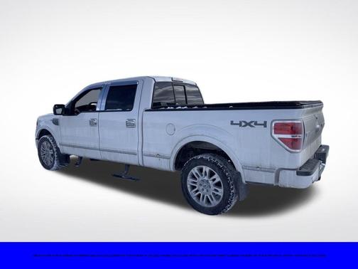 2014 Ford F-150 Platinum