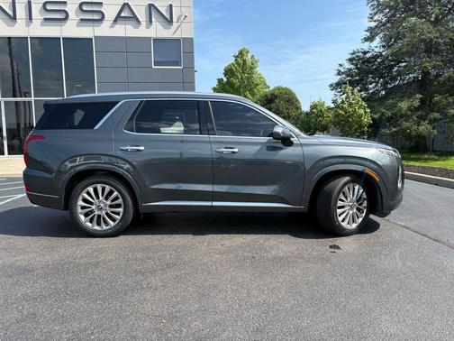 Rainforest 2020 Hyundai PALISADE Limited