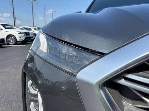 Rainforest 2020 Hyundai PALISADE Limited