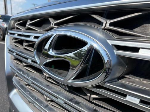 Rainforest 2020 Hyundai PALISADE Limited