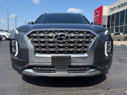 Rainforest 2020 Hyundai PALISADE Limited