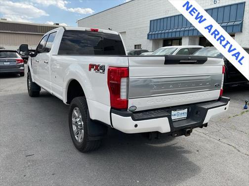 2019 Ford F-250 Platinum