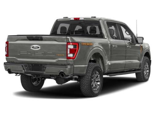 2021 Ford F-150 Tremor