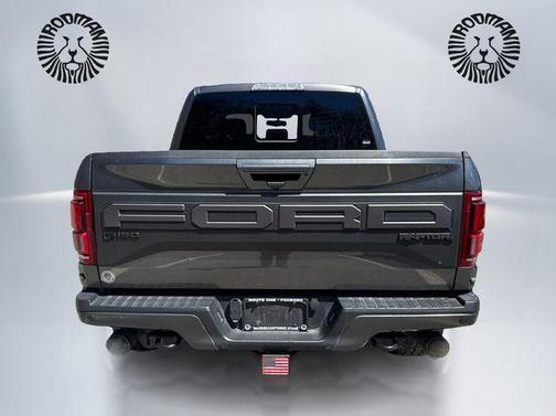 Magnetic Metallic 2020 Ford F-150 Raptor