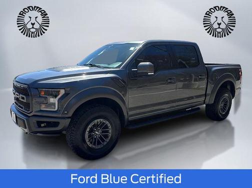 Magnetic Metallic 2020 Ford F-150 Raptor