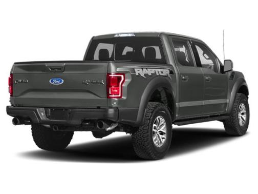 Magnetic Metallic 2020 Ford F-150 Raptor