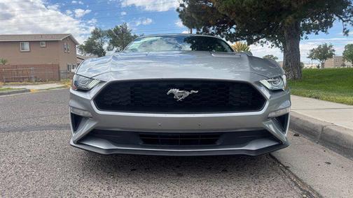 2022 Ford Mustang EcoBoost