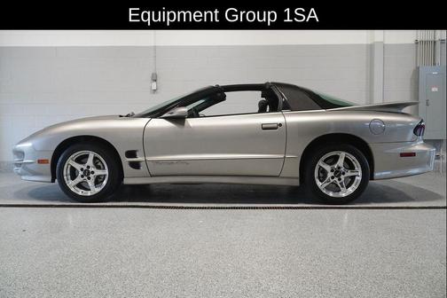 Pewter Metallic 2001 Pontiac Firebird Trans Am