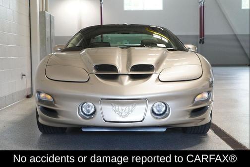 Pewter Metallic 2001 Pontiac Firebird Trans Am