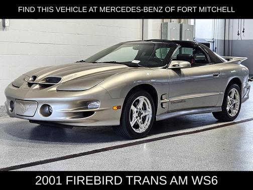 Pewter Metallic 2001 Pontiac Firebird Trans Am