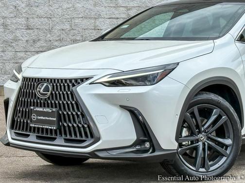 2025 Lexus NX 450h+ Luxury