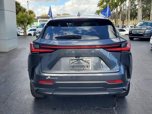 2024 Lexus NX 250 Premium
