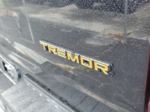 2021 Ford F-150 Tremor