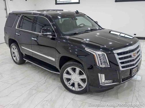 Black Raven 2019 Cadillac Escalade Luxury