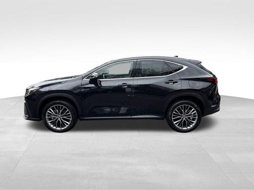 2022 Lexus NX 350h Premium