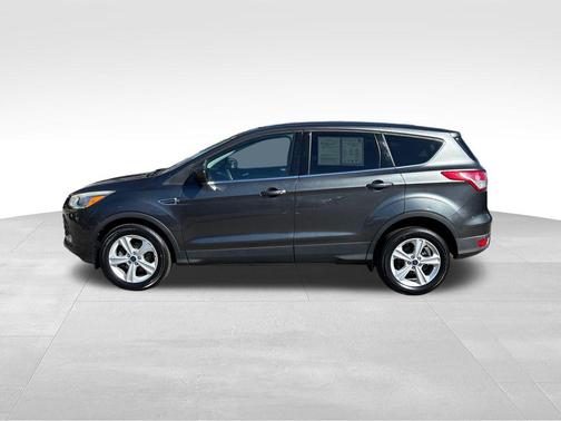 Magnetic 2016 Ford Escape SE