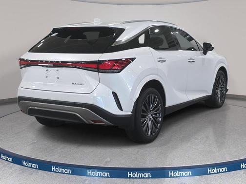 2023 Lexus RX 350 Luxury