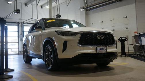 Majestic White 2023 INFINITI QX60 LUXE