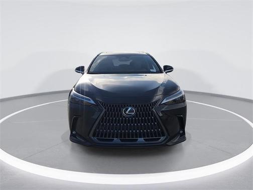 2025 Lexus NX 250 Base