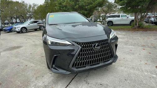 2024 Lexus NX 250 Premium