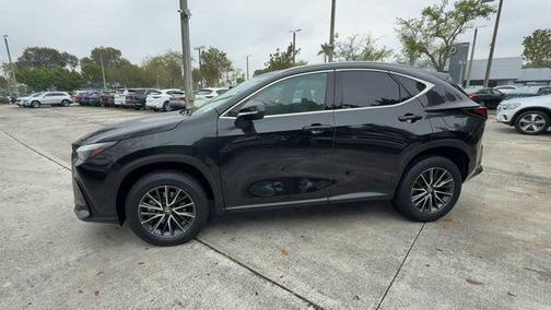 2024 Lexus NX 250 Premium