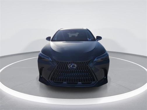 2025 Lexus NX 250 Premium