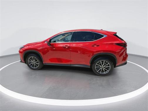 2025 Lexus NX 250 Base