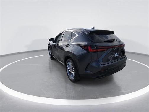 2025 Lexus NX 350h Premium