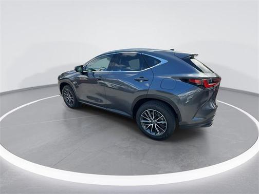 2025 Lexus NX 250 Premium