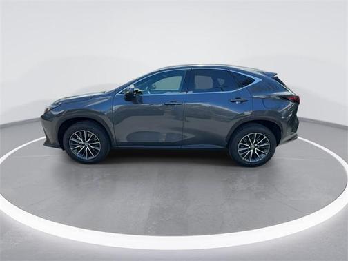 2025 Lexus NX 250 Premium