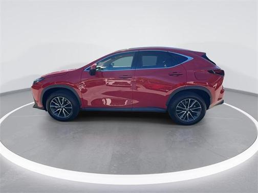 2025 Lexus NX 250 Base