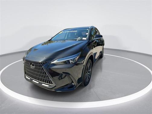 2025 Lexus NX 250 Premium
