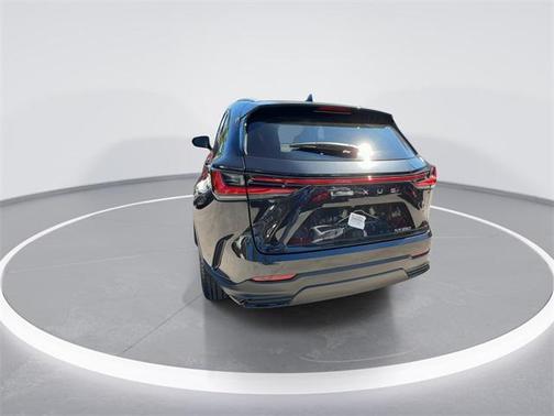 2025 Lexus NX 250 Premium