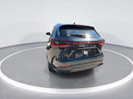 2025 Lexus NX 250 Premium