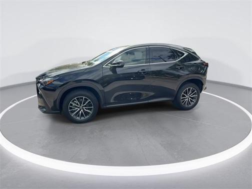 2024 Lexus NX 250 Premium