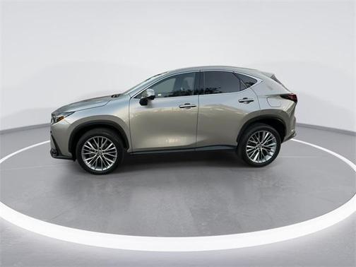 2023 Lexus NX 350 Luxury