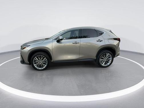 2023 Lexus NX 350 Luxury
