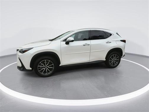 2025 Lexus NX 250 Premium