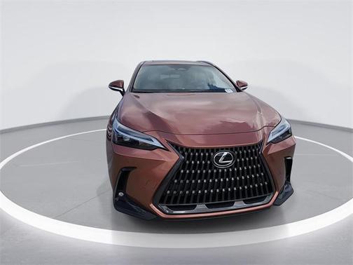 2025 Lexus NX 250 Premium