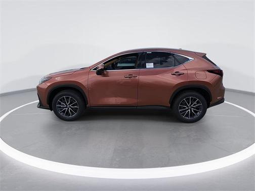 2025 Lexus NX 250 Premium