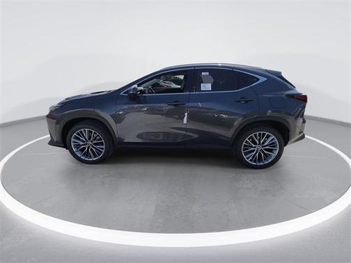 2025 Lexus NX 350h Premium