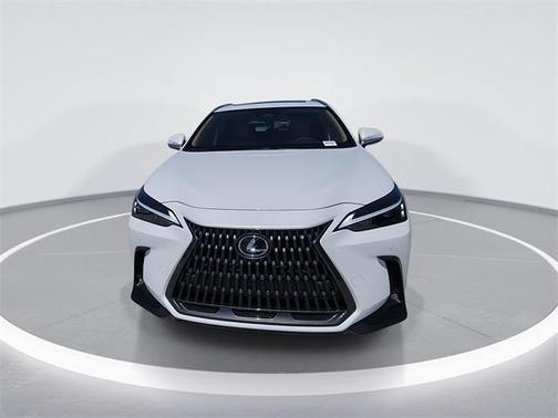 2025 Lexus NX 250 Premium