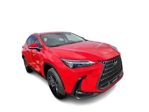 2025 Lexus NX 250 Premium