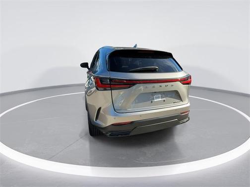 2024 Lexus NX 250 Premium