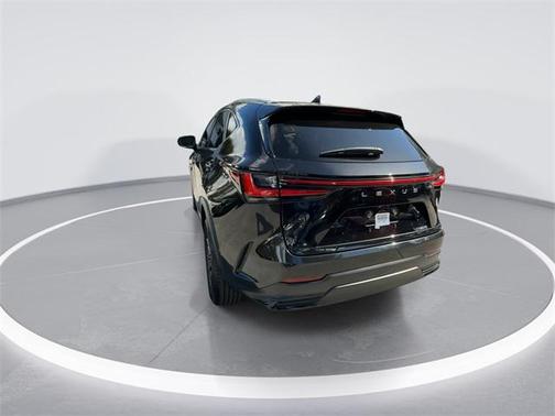 2025 Lexus NX 250 Base