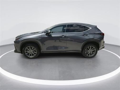 2024 Lexus NX 250 Base